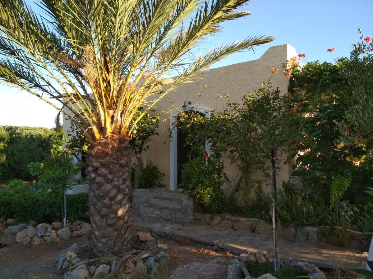 Porto Heli Apartments Palekastro Eksteriør billede