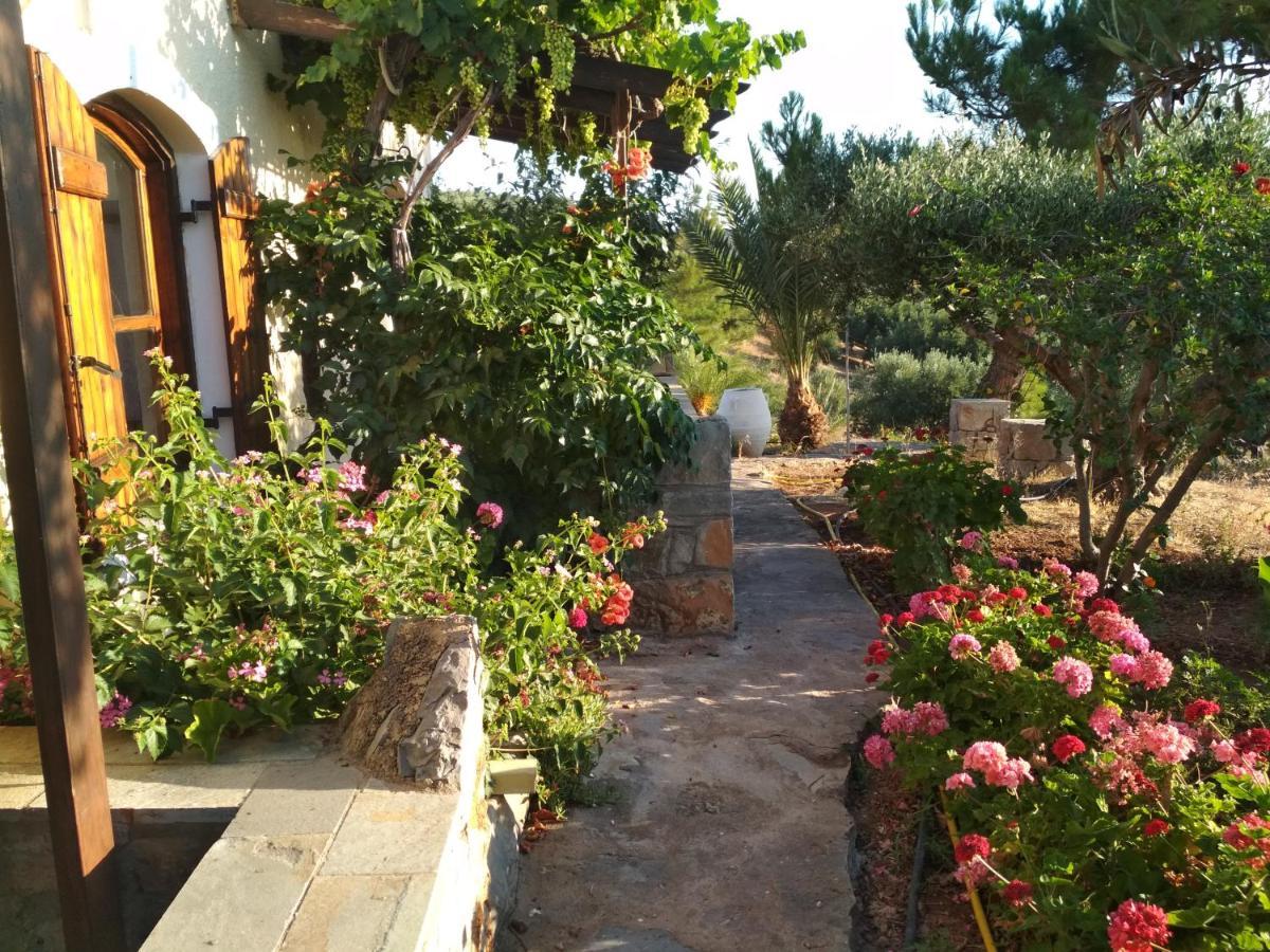 Porto Heli Apartments Palekastro Eksteriør billede