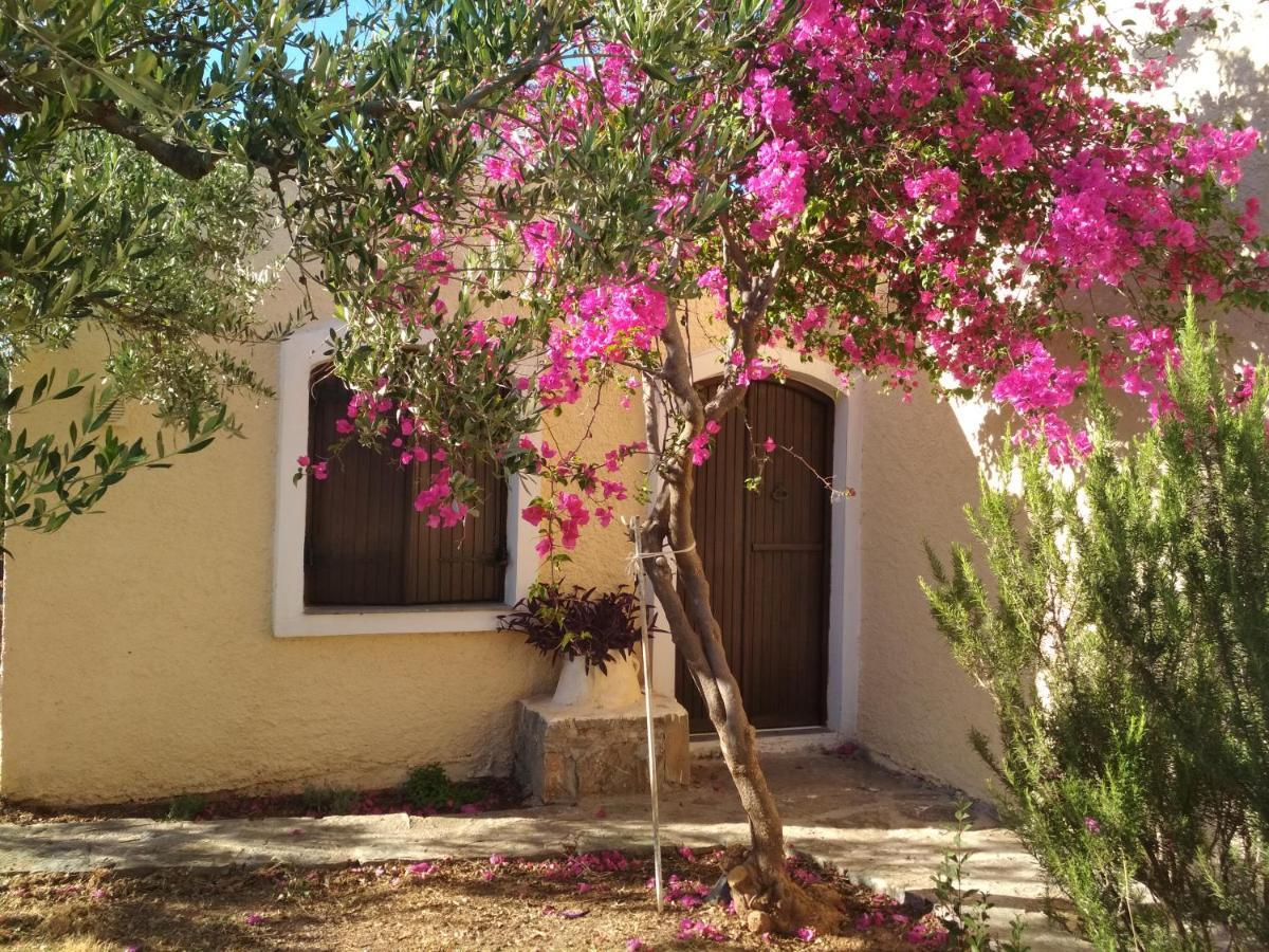 Porto Heli Apartments Palekastro Eksteriør billede