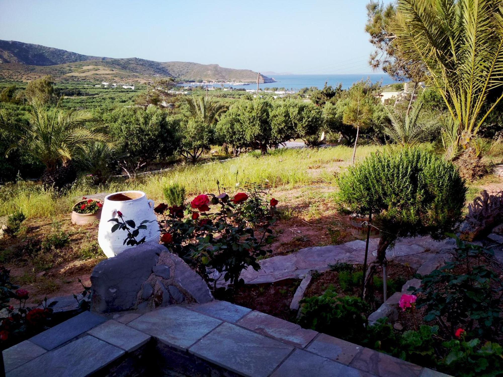 Porto Heli Apartments Palekastro Eksteriør billede