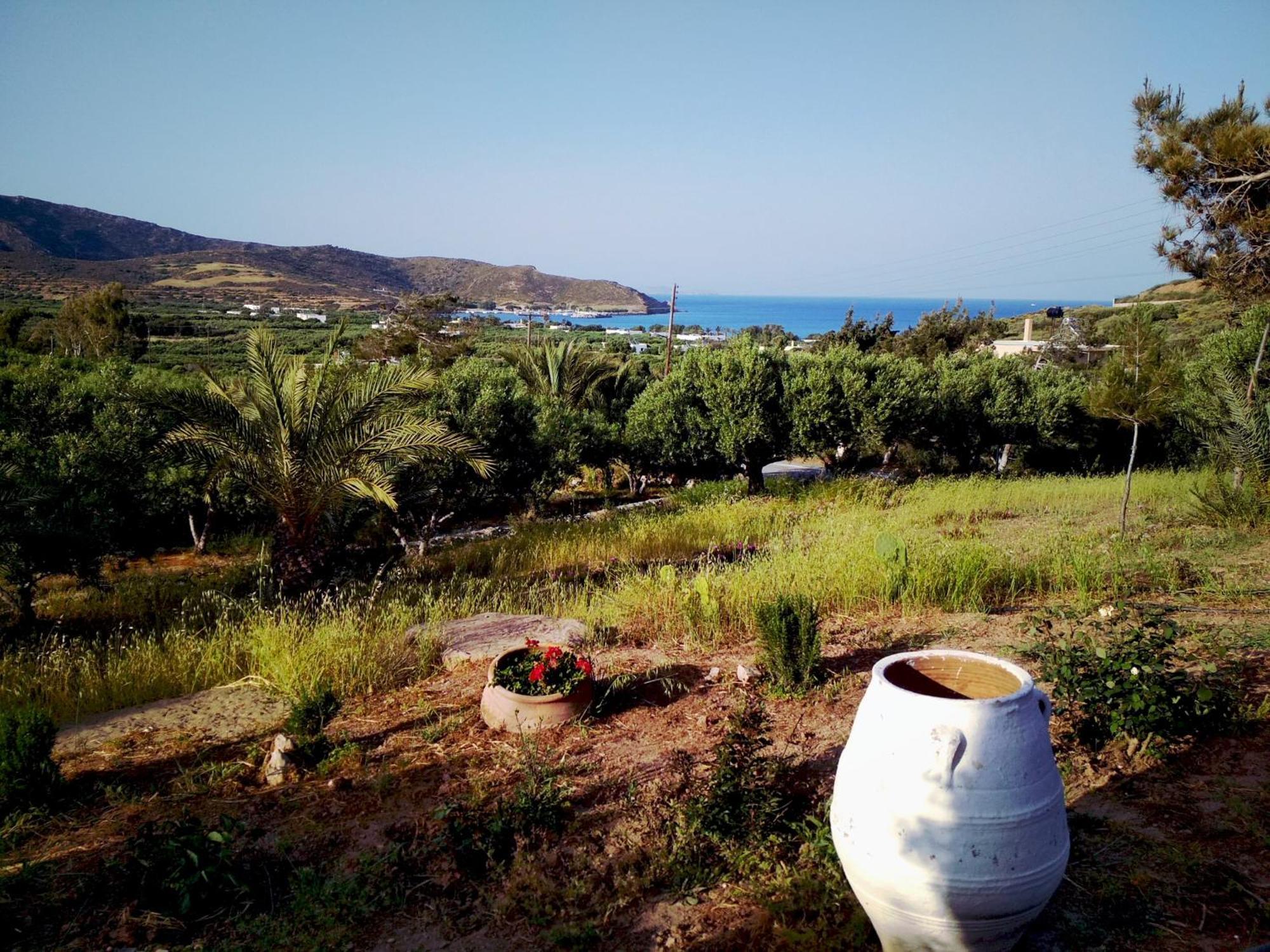 Porto Heli Apartments Palekastro Eksteriør billede