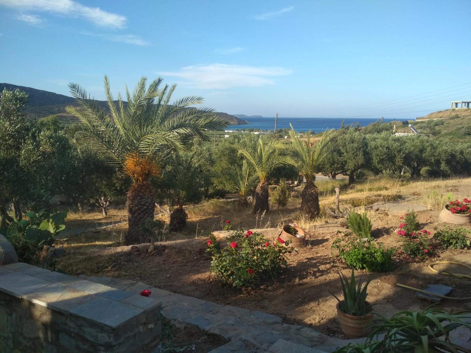 Porto Heli Apartments Palekastro Eksteriør billede