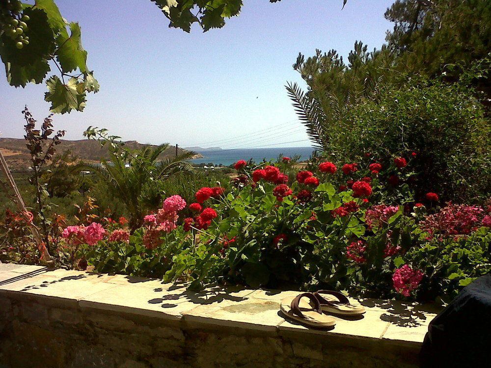 Porto Heli Apartments Palekastro Eksteriør billede
