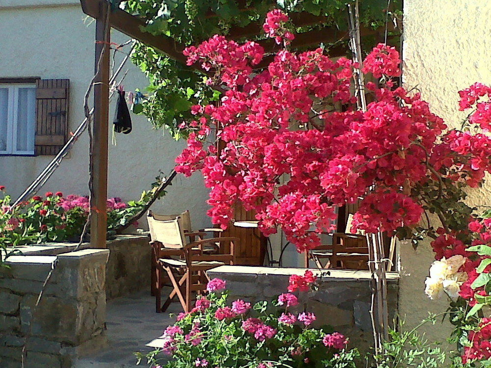 Porto Heli Apartments Palekastro Eksteriør billede